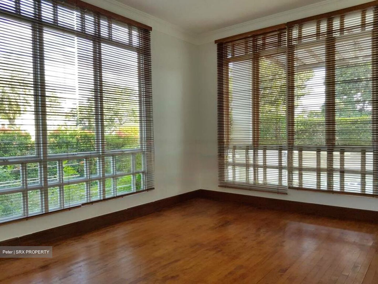 Bin Tong Park (D10), Detached #468538221